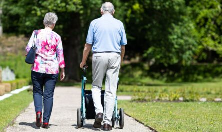 Photo by Rollz International: https://www.pexels.com/photo/two-people-walking-in-a-park-19971190/